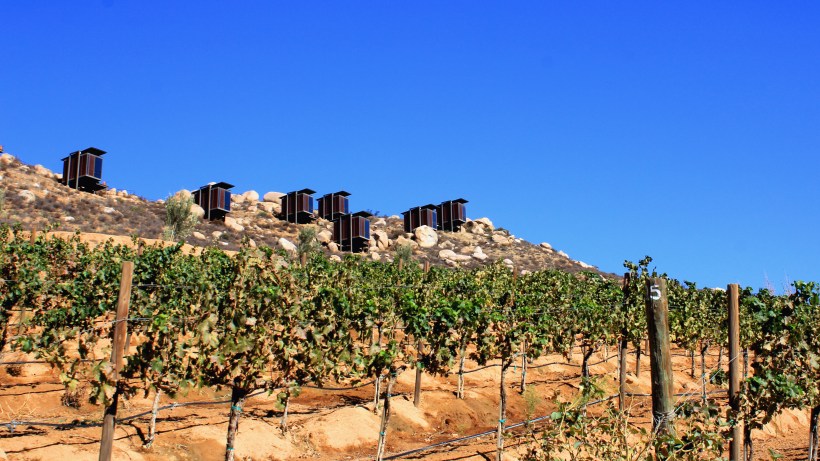 EncuentroLoftsValley_ValleDeGuadalupe